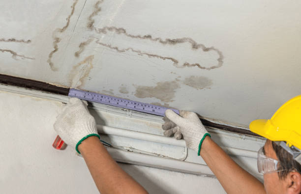 Reliable Water Damage Restoration contractor in West Chesterfield, MA by Local Water Damage Repair